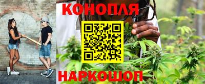МДПВ Канаш