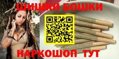 МДПВ Канаш
