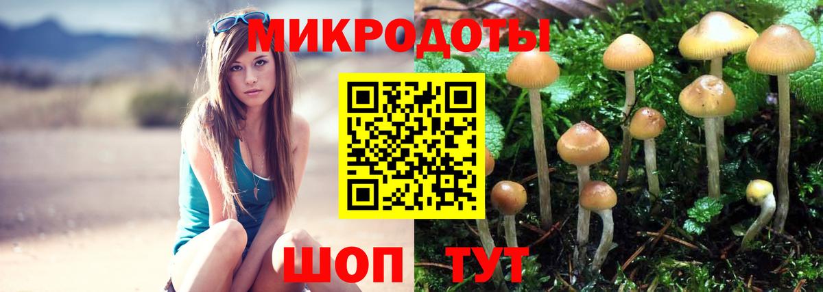 Псилоцибиновые грибы Psilocybine cubensis  купить закладку  Псилоцибиновые грибы мухоморы  Владивосток  Вход с VPN 