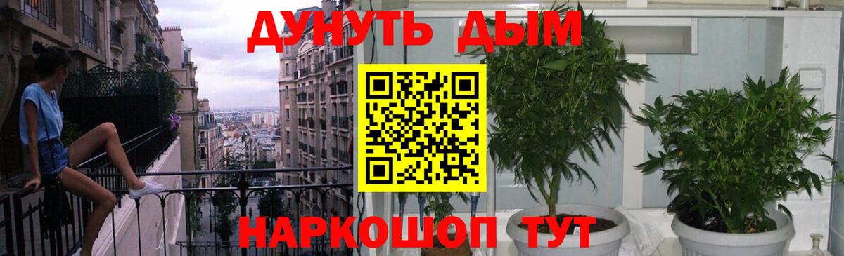 Каннабис индика Владивосток
